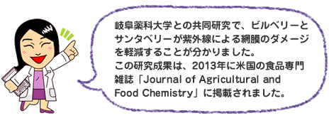 岐阜薬科大学との共同研究で、ビルベリーとサンタベリーが紫外線による網膜のダメージを軽減することが分かりました。この研究成果は、2013年に米国の食品専門雑誌「Journal of Agricultural and Food Chemistry」に掲載されました。