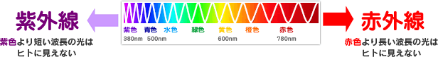[紫外線]紫色より短い波長の光はヒトに見えない [赤外線]赤色より長い波長の光はヒトに見えない