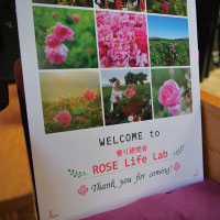 香り研究会 ROSE Life Labo